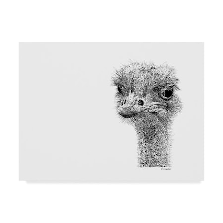 Let Your Art Soar 'Ostrich Line Art' Canvas Art,35x47